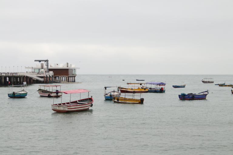 Lima: visite gastronomique péruvienne à travers les marchés locaux