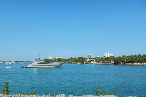 Miami Combo: Everglades Adventure and Sightseeing Tour Combo - Downtown Miami pickup