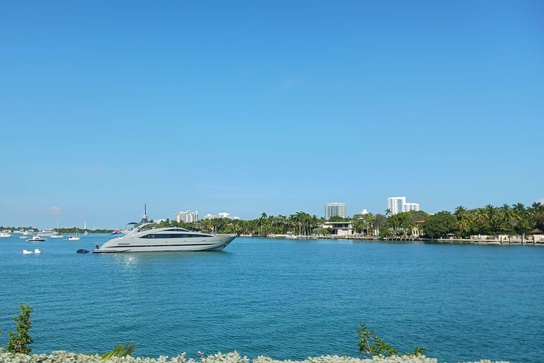 Miami Combo: Everglades Adventure and Sightseeing Tour Combo - Downtown Miami pickup