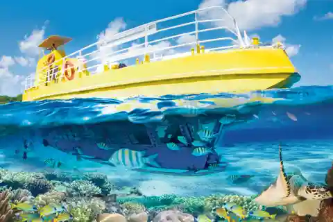 Cancun: Subver Passeio Explorador