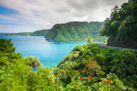 Maui: Road to Hana heldagstur med lunch och transfer