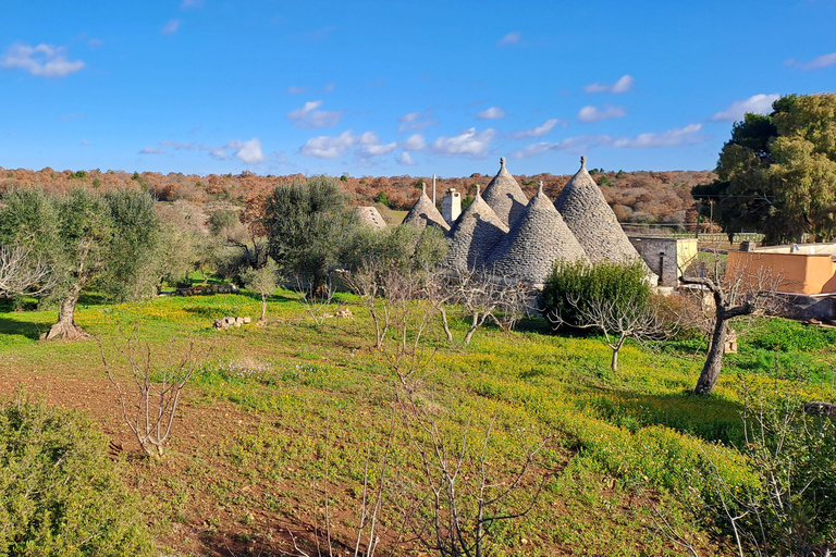 Locorotondo and Cisternino: E-Bike Tour with Ice Cream Departure from Locorotondo