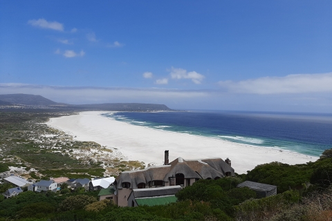 From Cape Town/Stellenbosch: Cape Peninsula Private Day Trip