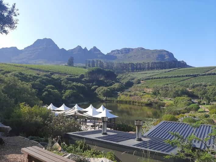 Da Stellenbosch: Passeggiata Guidata Tra I Vigneti Di Stellenbosch ...