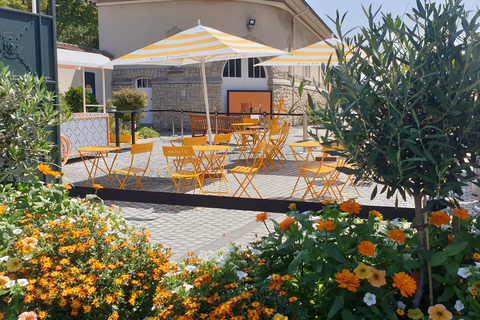 Reims: Veuve, Taittinger and Pommery cellars and tastings