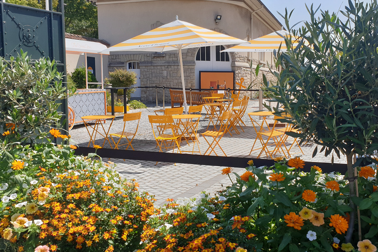 Reims: Veuve, Taittinger and Pommery cellars and tastings