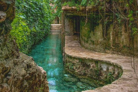 From Mérida: Hacienda Mucuyché and Cenotes Tour