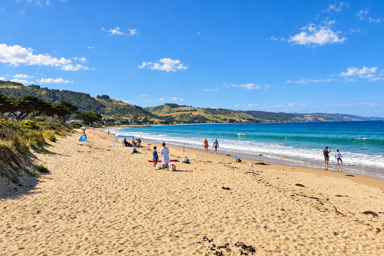 Melbourne: Great Ocean Road Tour, 12 Apostles & Apollo Bay Melbourne CBD Meeting Point (Max 50 guests)