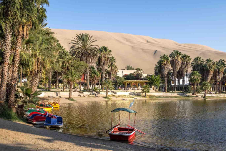 Lima : visite d&#039;une jounée à Paracas, aux vignobles et à Huacachina