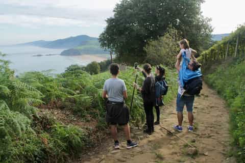 San Sebastián: The Way of Saint James & Basque Winery Tour