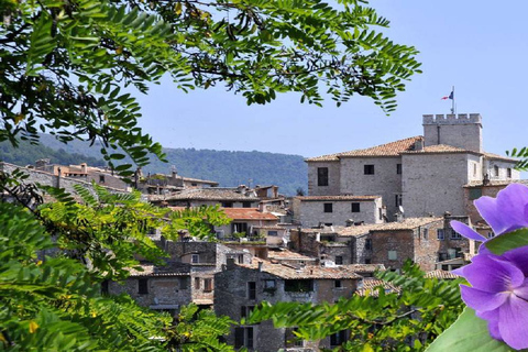 Côte d'Azur: visite partagée d'une demi-journée à la campagne au départ de NiceVisite privée d'une demi-journée