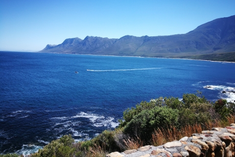 Z Kapsztadu lub Stellenbosch: całodniowa wycieczka po malowniczym wybrzeżuWyjazd ze Stellenbosch