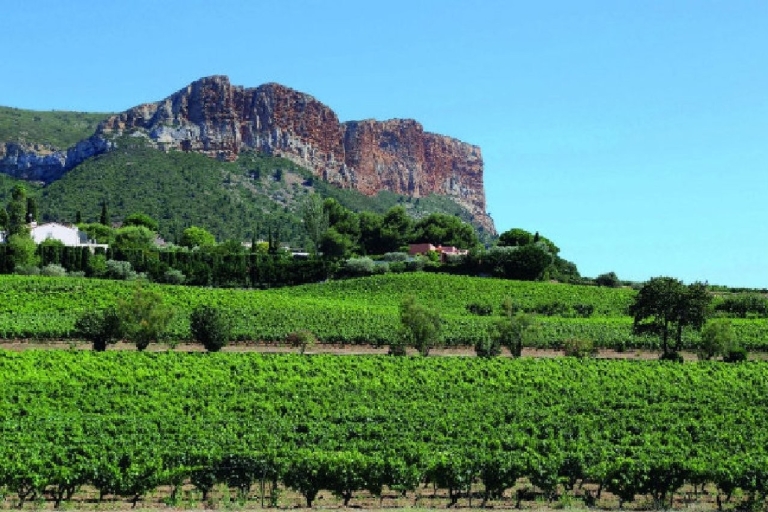 Excursión de un día a las calas de Cassis, Aix-en-Provence y cata de vinosTour privado