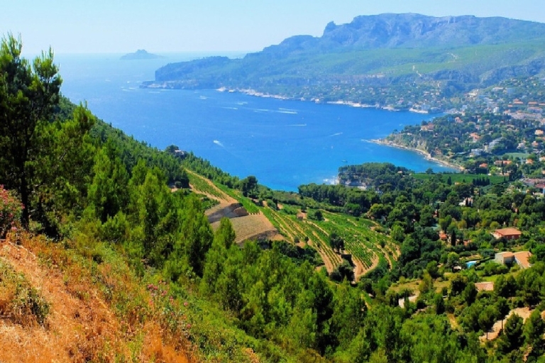 Calanques of Cassis, Aix-en-Provence & wijnproeverij dagtourPrivérondleiding