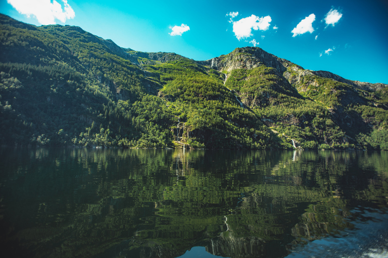 Øystese: Hardangerfjord och Fyksesund RIB Fjord Adventure