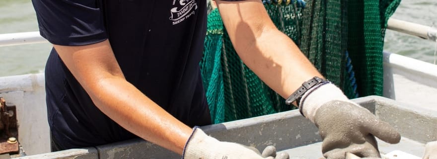 Hilton Head Island : Tour en bateau de pêche à la crevette