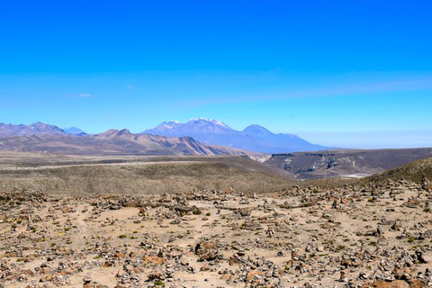 Ande: tour di 1 giorno del Canyon del Colca