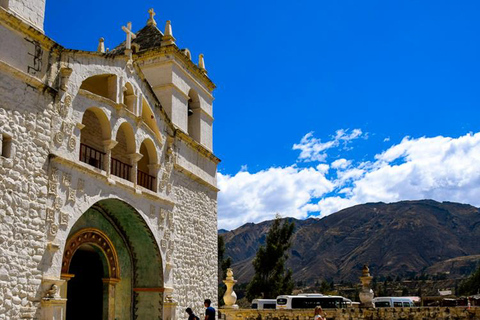 Andes: Dagtrip Colca Canyon