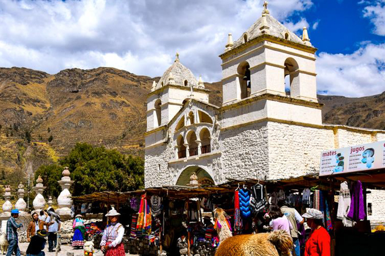 Depuis Arequipa : journée dans le canyon de Colca