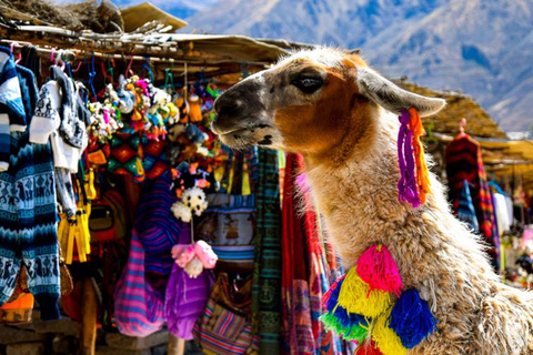 Andes: Dagtrip Colca Canyon