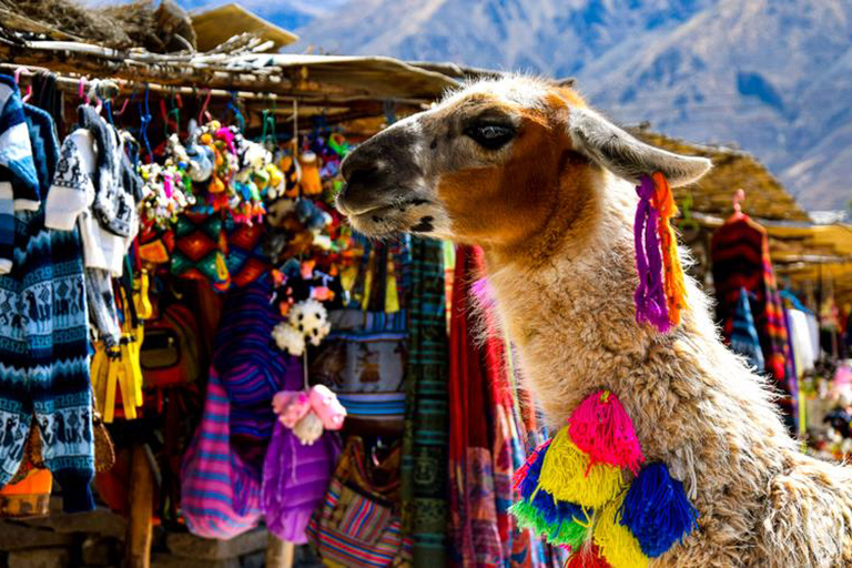 Depuis Arequipa : journée dans le canyon de Colca