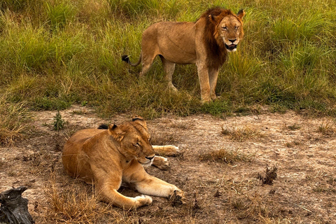 Arusha: 3-Day Serengeti & Ngorongoro Wondaful Safari 3-Day Serengeti & Ngorongoro with Balloon Experience