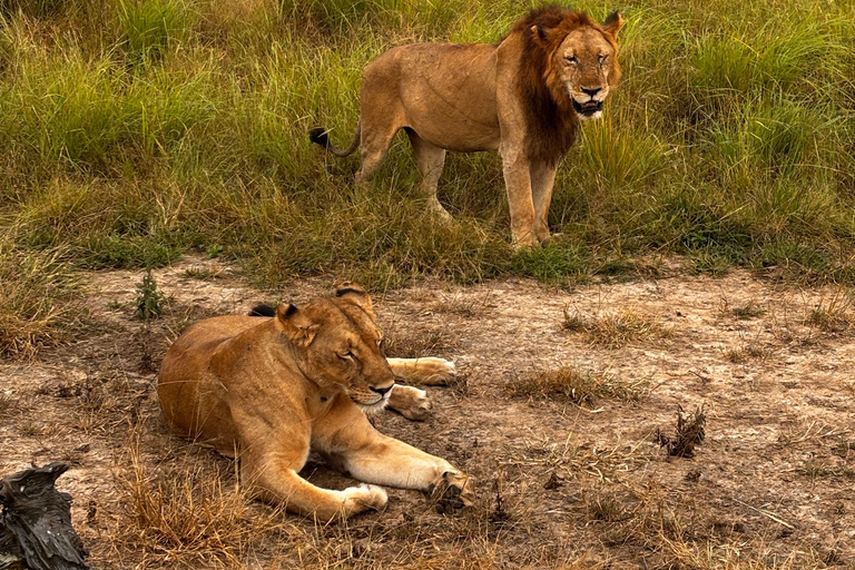 Arusha: 3-Day Serengeti & Ngorongoro Wondaful Safari 3-Day Serengeti & Ngorongoro with Balloon Experience