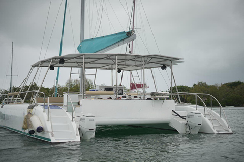 Catamaran Cruise to Ile aux Cerfs & GRSE Waterfall
