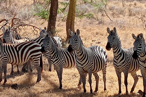 Lago Naivasha e ilha Crescent: Caminhando com animaisCaminhando com animais na ilha Crescent Safári de barco