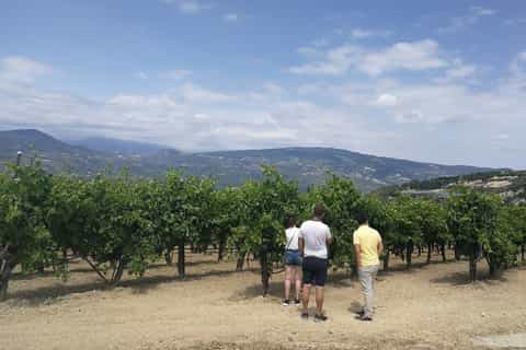 Nemea: Wine Tour with Tastings
