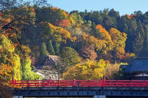 Tokyo: Hida Takayama & Shirakawa-go Day Trip with Guide