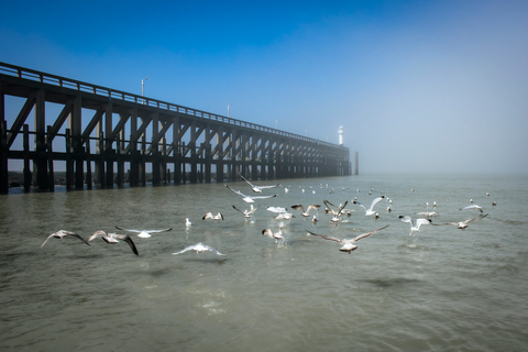 Blankenberge: Offshore Wind Farm Tour by Boat