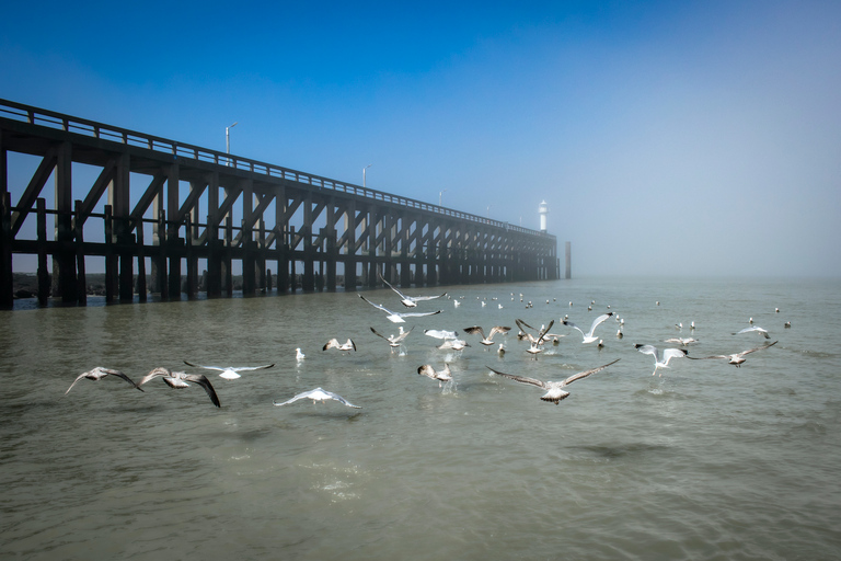 Blankenberge: Offshore Wind Farm Tour by Boat