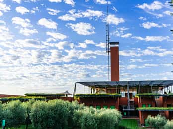 Weingut Rocca di Frassinello: Tour & Weinverkostung in der Toskana