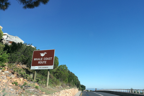 De Stellenbosch: visite de la route des baleines d'HermanusRoute des baleines au départ de Stellenbosch