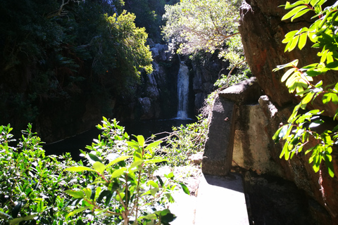 Von Stellenbosch aus: Hermanus Walroute TourWal-Tour-Route ab Stellenbosch