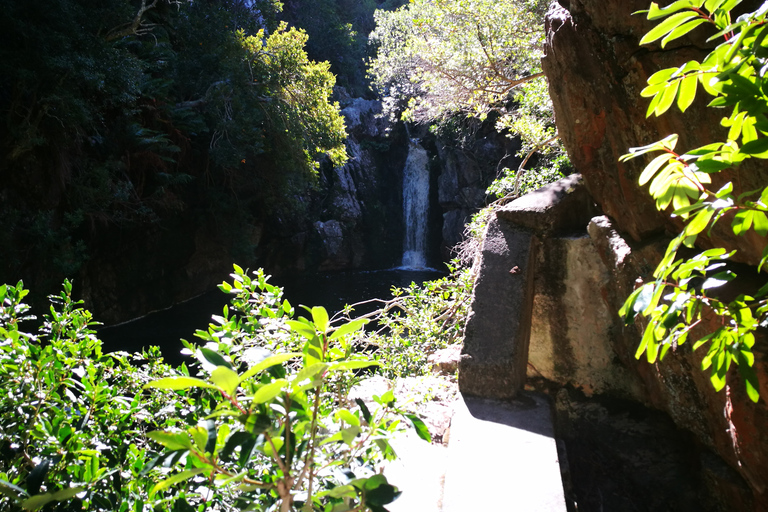 Da Stellenbosch: Hermanus Whale Route TourPercorso del tour delle balene da Stellenbosch