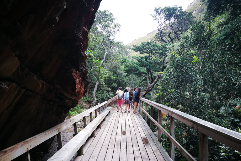 De Stellenbosch: visite de la route des baleines d'HermanusRoute des baleines au départ de Stellenbosch