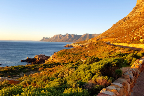 De Stellenbosch: visite de la route des baleines d'HermanusRoute des baleines au départ de Stellenbosch