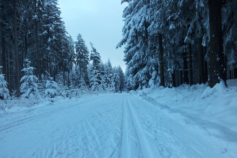 From Leipzig: Return Transfer to Fichtelberg Ski Run ERZSki2023