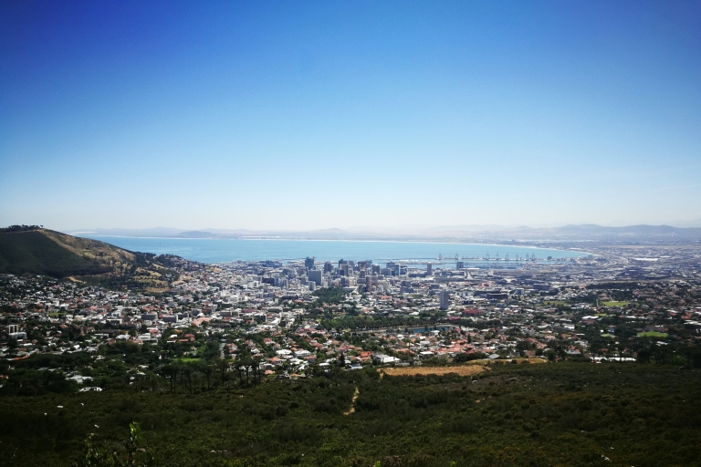 Cape Town: visite privée d'une journée complète de la montagne de la Table et de la ville