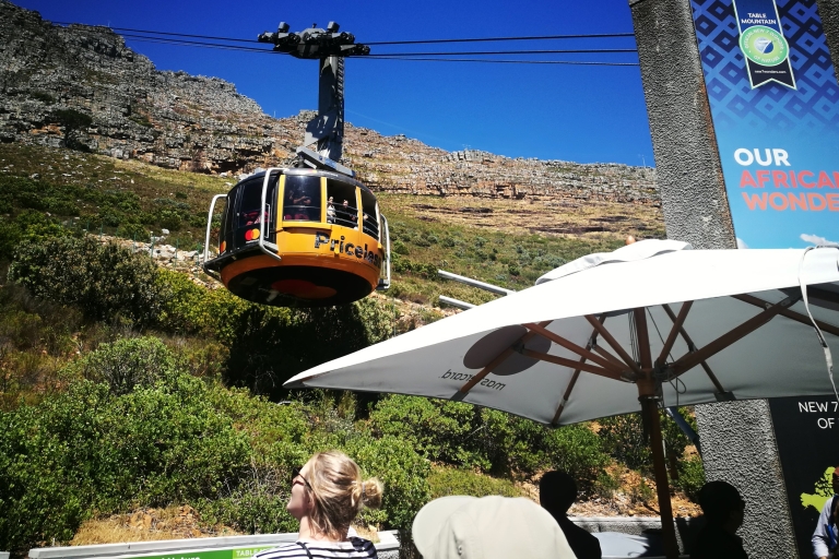 Cape Town: visite privée d'une journée complète de la montagne de la Table et de la ville