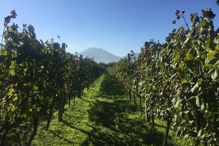 Tirana: Highlights der Stadt + Tour zum Kap von Rodon mit Weinverkostung