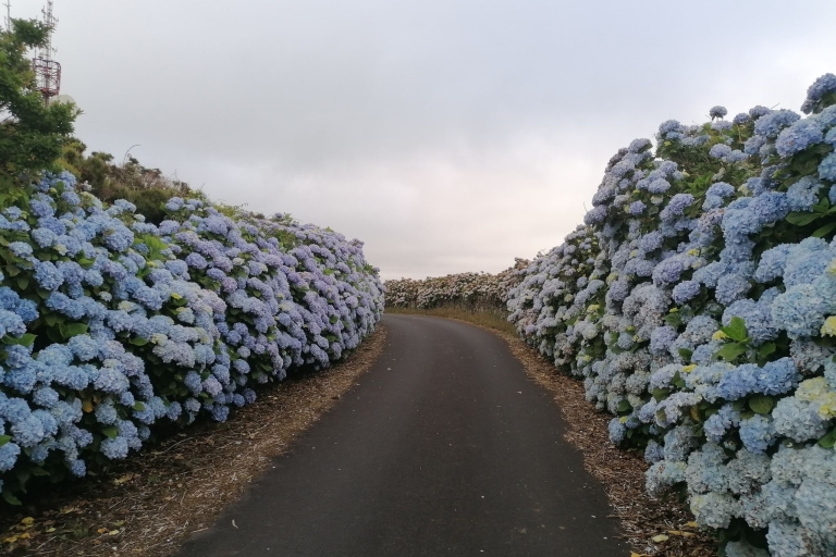 Angra do Heroísmo: Półdniowa wycieczka na wyspę Terceira