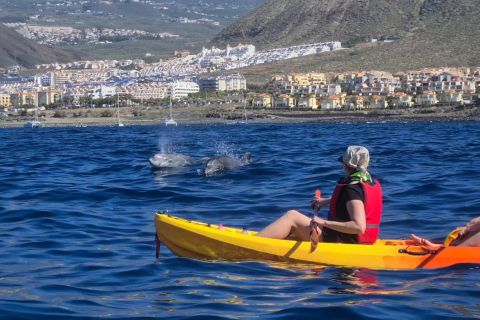 Tenerife: safari in kayak con tartarughe marine e snorkeling