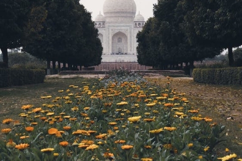 Mystique du Taj Un grand tour