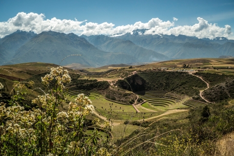 De Cusco: excursion d'une demi-journée à Maras et Moray