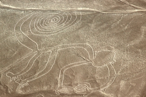 De Lima: lignes de Nazca, oasis de Huacachina et visite en buggy des dunes