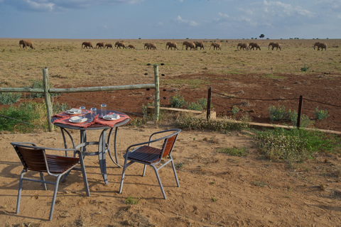 Von Nairobi: 4-tägige Safari nach Amboseli Tsavo West &amp; Ost