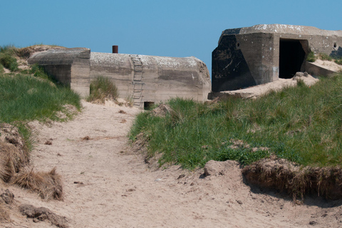 From Bayeux: D-Day American Beaches and US Airborne Day Tour